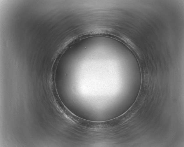 X0000064050485200602101454