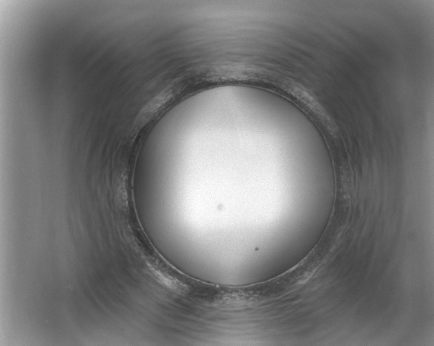 X0000064050489200602101454