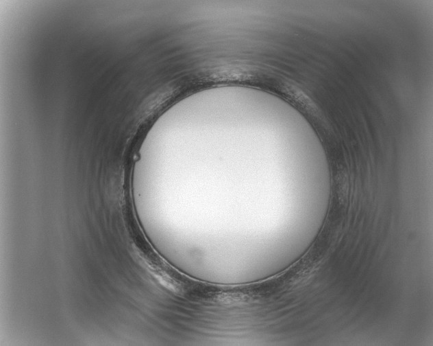 X0000064050490200602101454