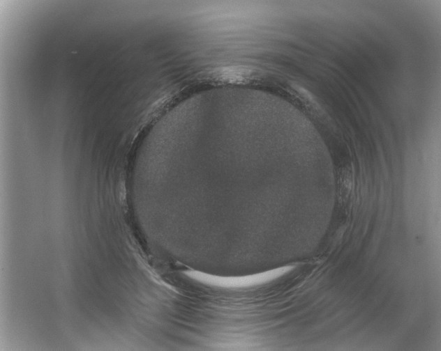 X0000064050500200602101454