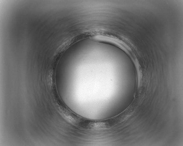X0000064050501200602101454