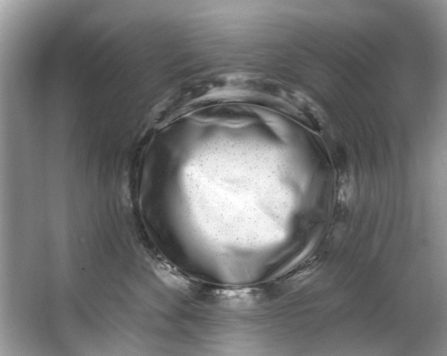 X0000064050524200602101454