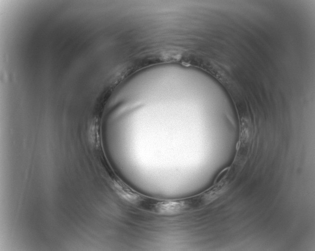 X0000064050527200602101454