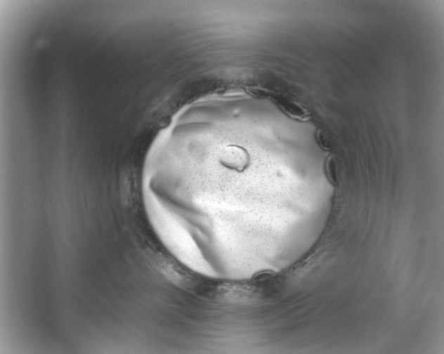 X0000064050528200602101454