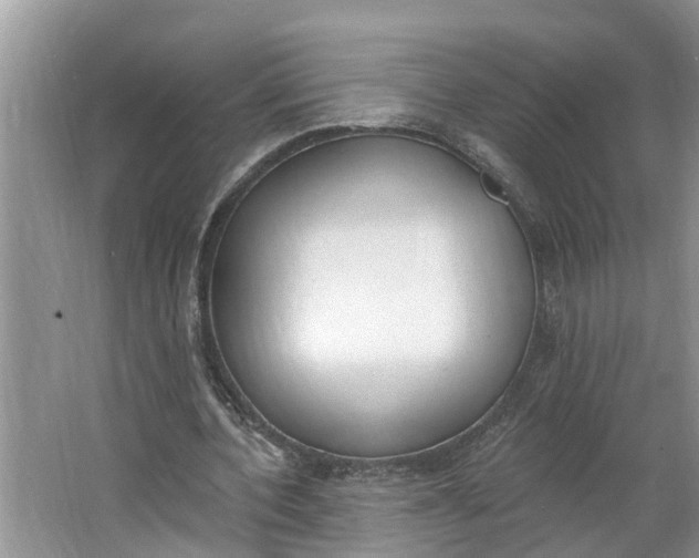 X0000064050532200602101453
