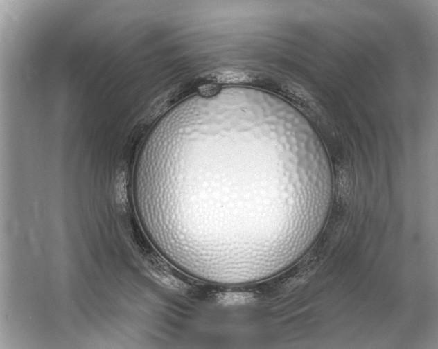 X0000064050549200602101453