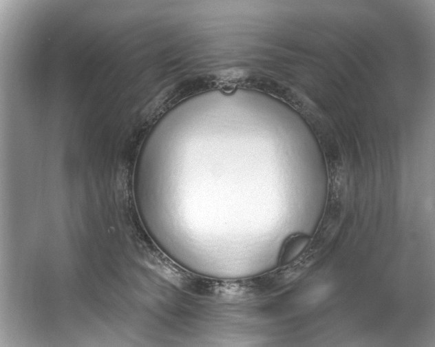 X0000064050565200602101453