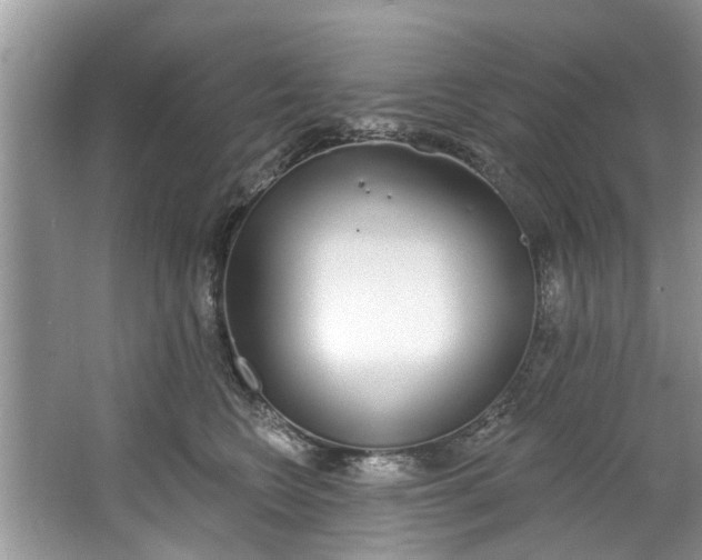 X0000064050566200602101453