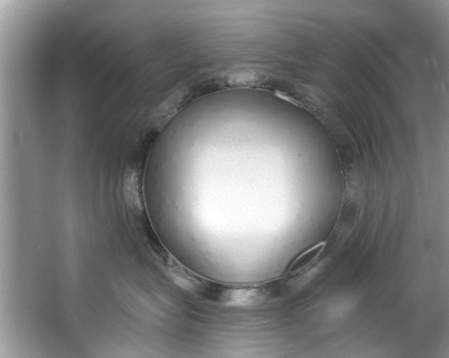 X0000064050575200602101453