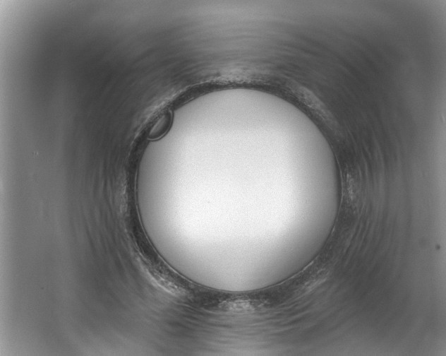 X0000064050588200602101452