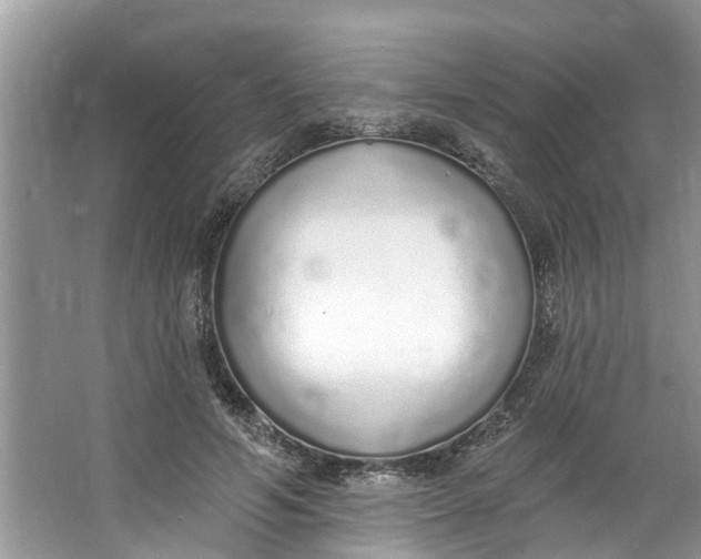 X0000064050594200602101452