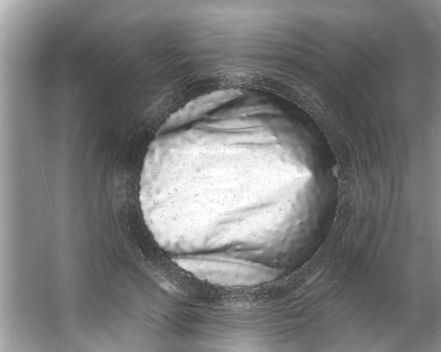 X0000064050598200602101452