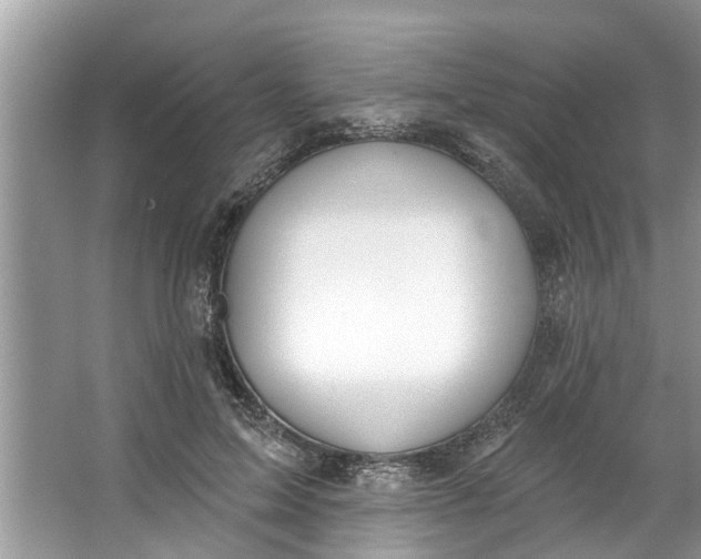 X0000064050599200602101452