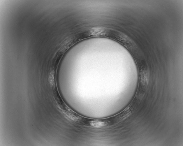 X0000064050602200602101452