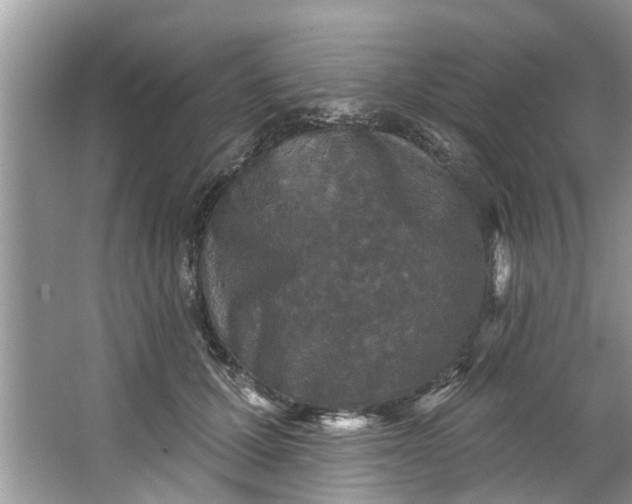 X0000064050607200602101452