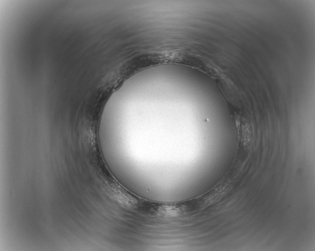 X0000064050613200602101452