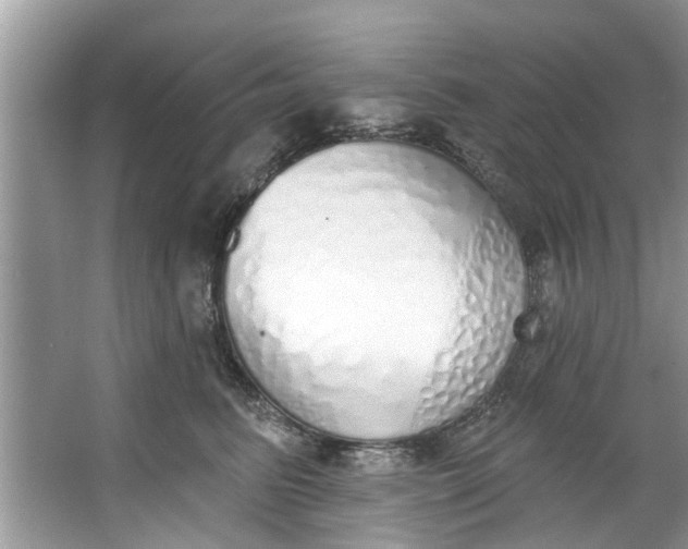 X0000064050615200602101452