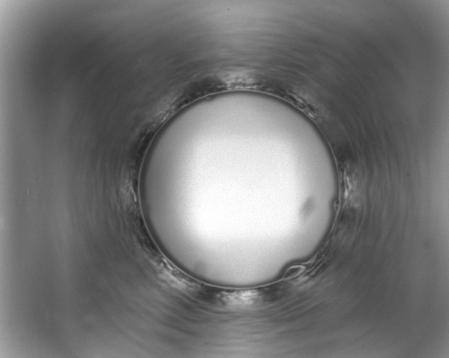 X0000064050618200602101452