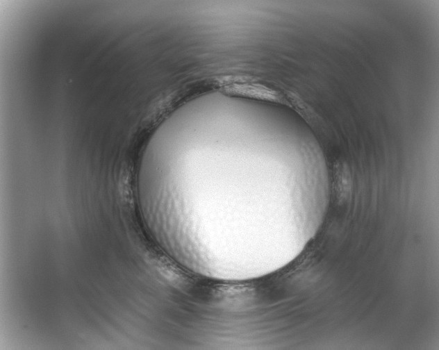 X0000064050619200602101452