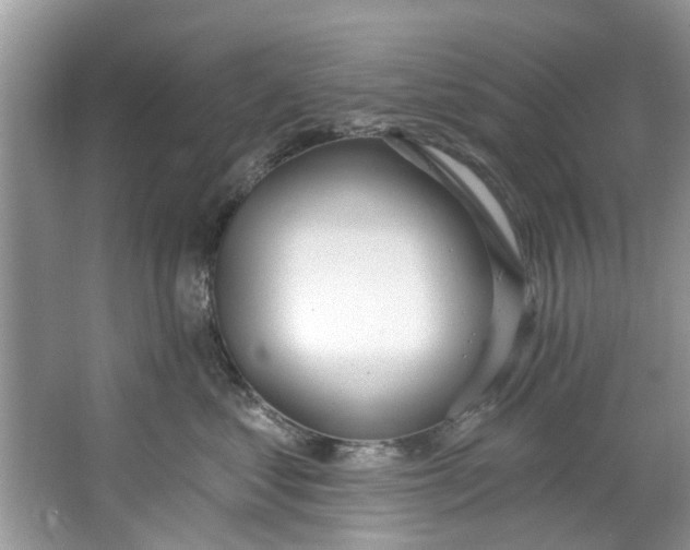 X0000064050621200602101452