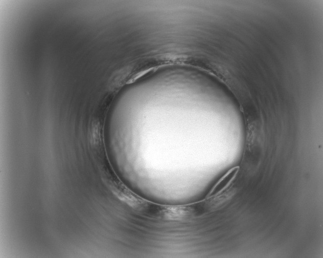 X0000064050623200602101452