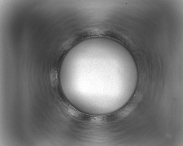 X0000064050624200602101452