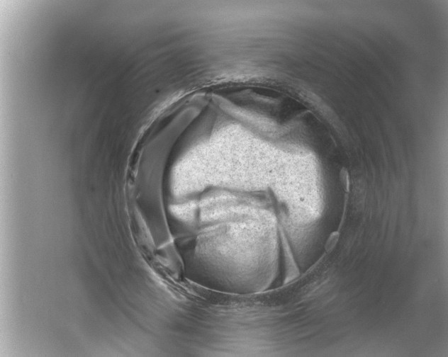 X0000064050626200602101451