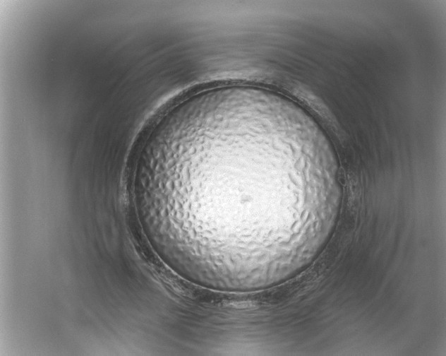 X0000064050628200602101451