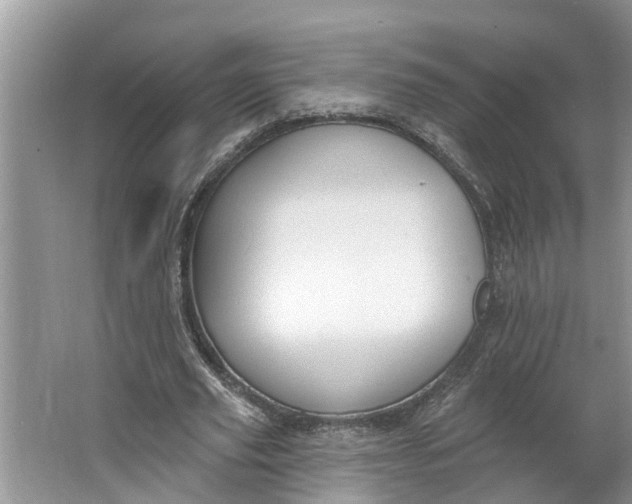 X0000064050629200602101451