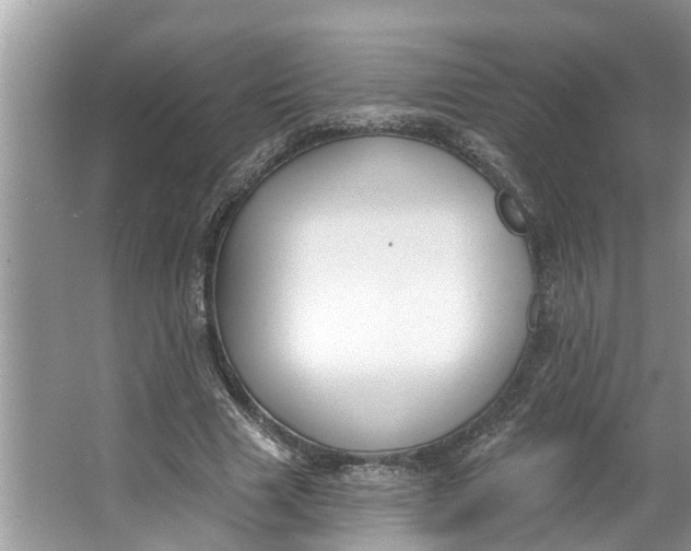 X0000064050633200602101451