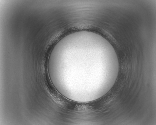 X0000064050635200602101451