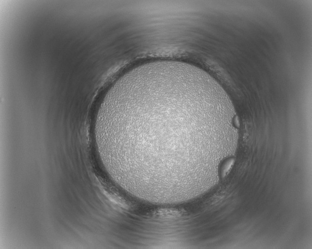 X0000064050636200602101451