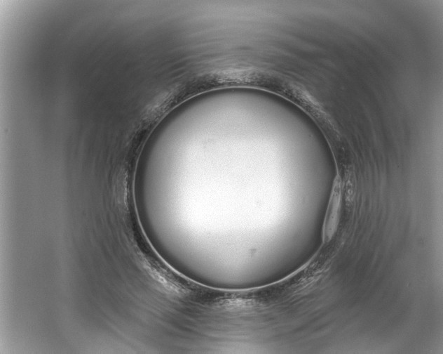 X0000064050637200602101451