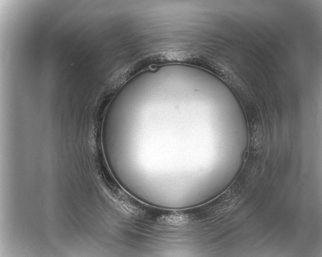 X0000064050639200602101451