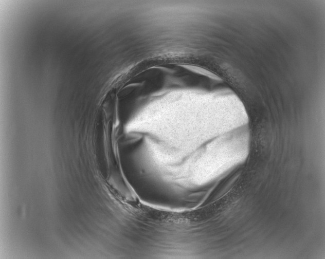 X0000064050640200602101451