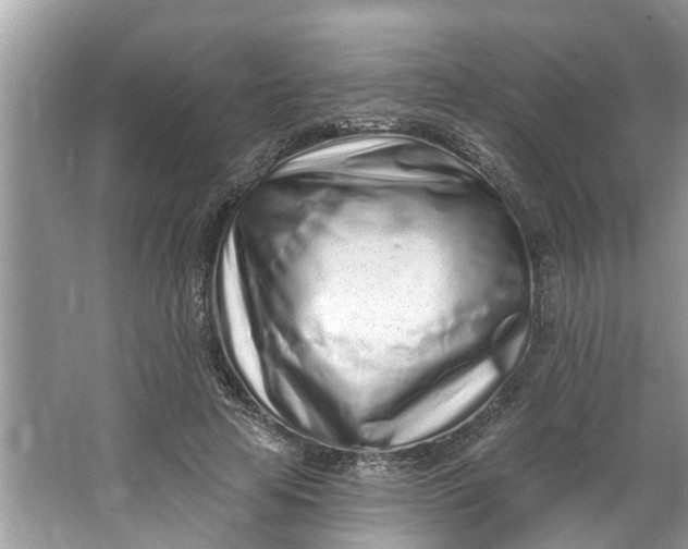 X0000064050641200602101451