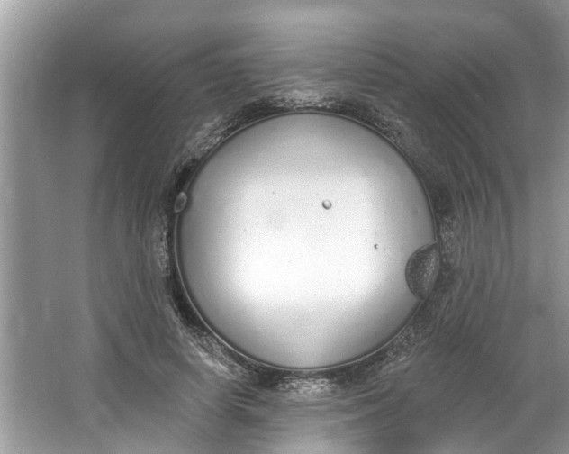 X0000064050642200602101451