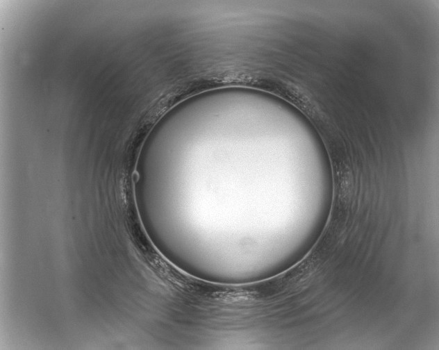 X0000064050643200602101451