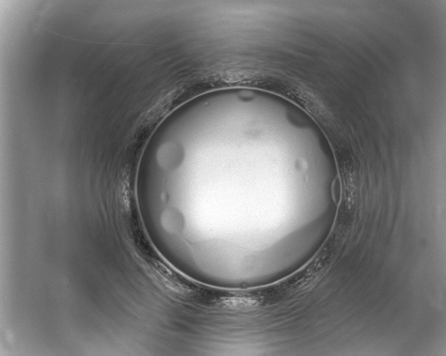 X0000064050644200602101451