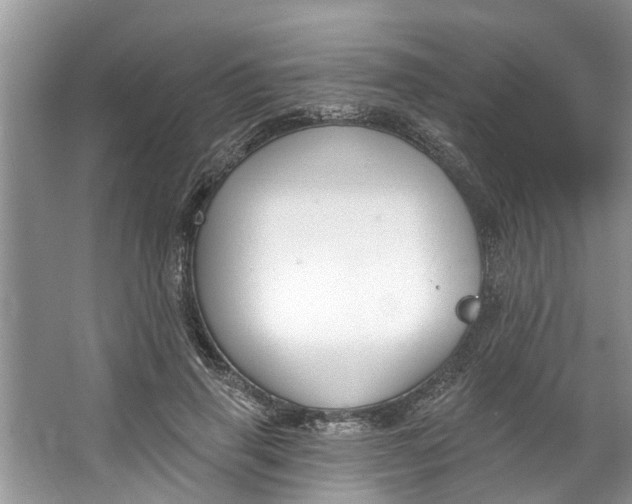 X0000064050645200602101451