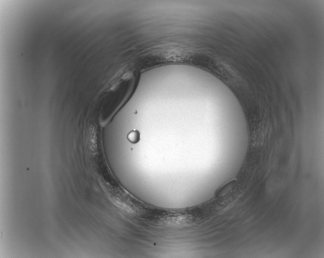 X0000064050646200602101451