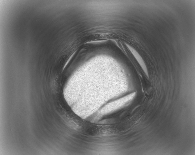X0000064050650200602101452