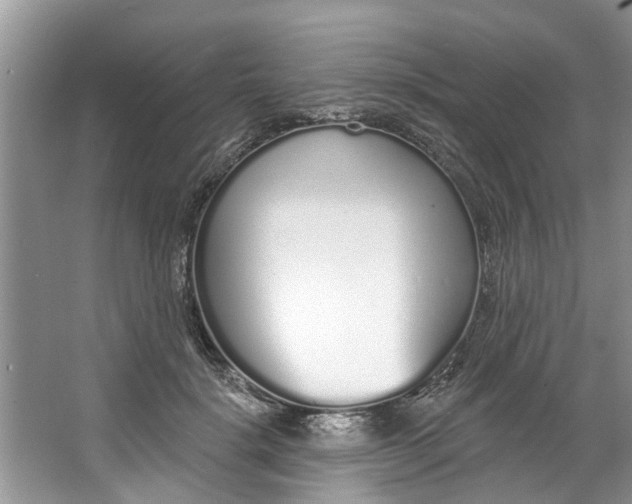 X0000064050652200602101452