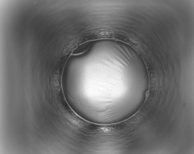 X0000064050654200602101452