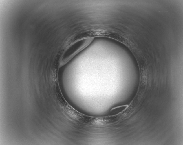 X0000064050657200602101452