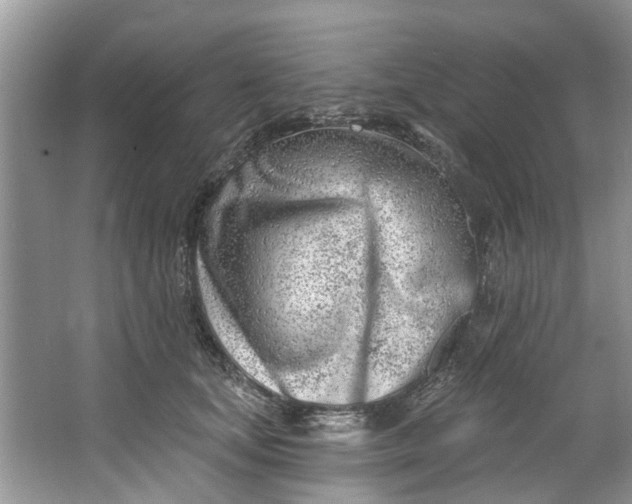 X0000064050659200602101452