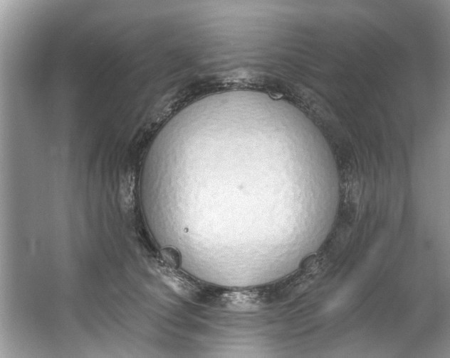 X0000064050660200602101452