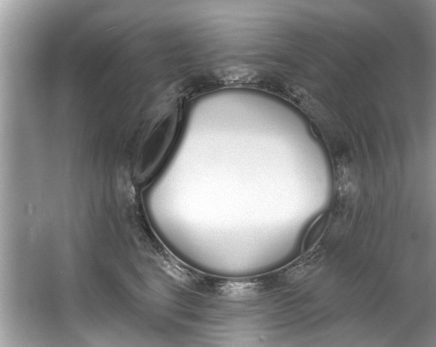 X0000064050664200602101452