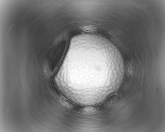 X0000064050666200602101452