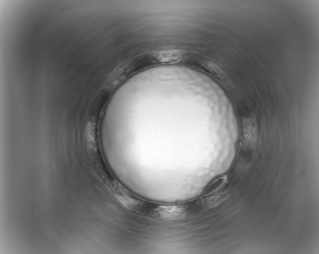 X0000064050667200602101452